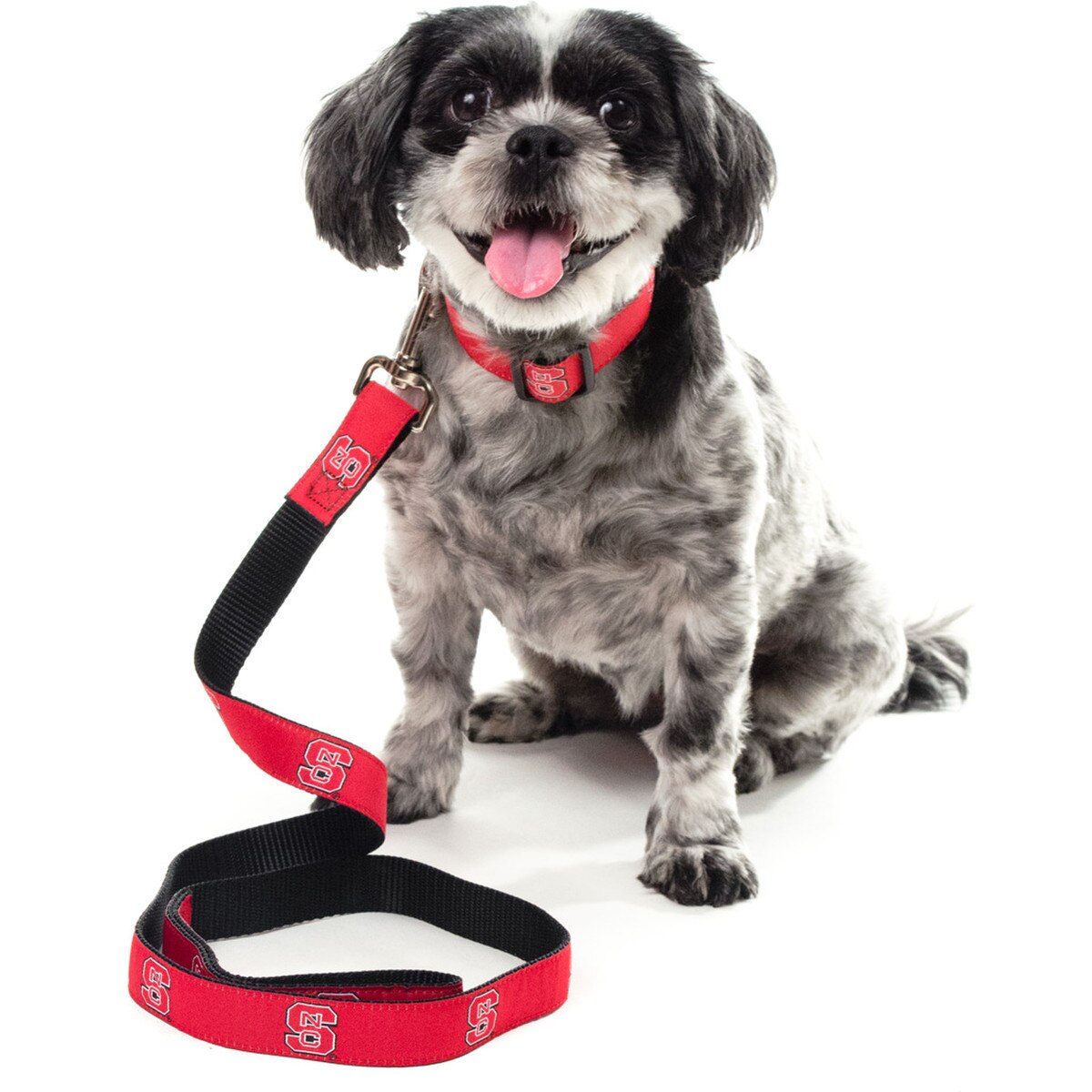 Dog Leash 4-Foot - Block S